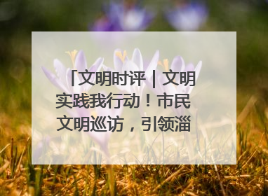 文明时评｜文明实践我行动！市民文明巡访，引领淄博全民志愿