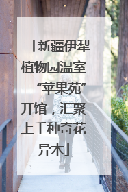新疆伊犁植物园温室“苹果苑”开馆，汇聚上千种奇花异木