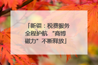 新疆：税费服务全程护航 “商博磁力”不断释放
