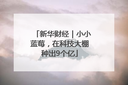 新华财经｜小小蓝莓，在科技大棚种出9个亿