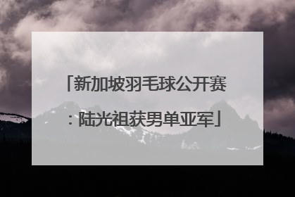 新加坡羽毛球公开赛：陆光祖获男单亚军