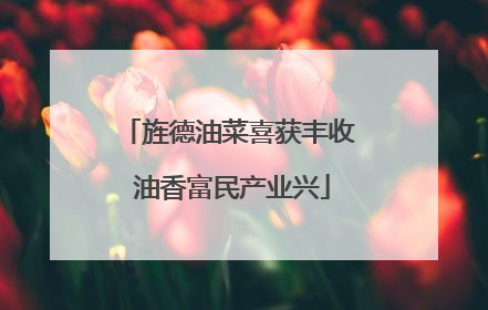旌德油菜喜获丰收 油香富民产业兴