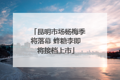 昆明市场杨梅季将落幕 蜂糖李即将接档上市