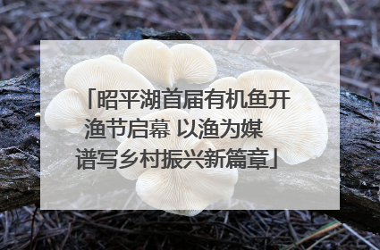 昭平湖首届有机鱼开渔节启幕 以渔为媒 谱写乡村振兴新篇章