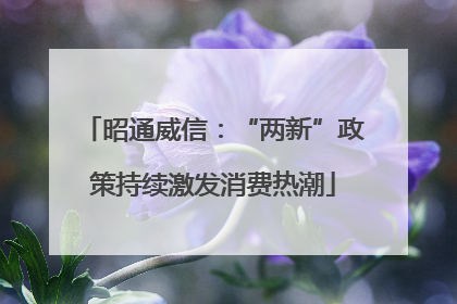 昭通威信：“两新”政策持续激发消费热潮