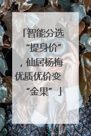 智能分选“提身价”，仙居杨梅优质优价变“金果”
