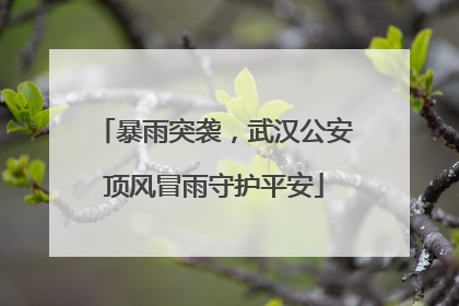 暴雨突袭，武汉公安顶风冒雨守护平安