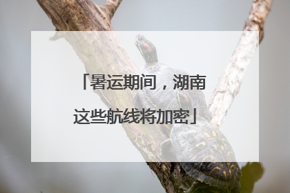 暑运期间，湖南这些航线将加密