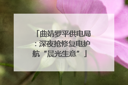 曲靖罗平供电局：深夜抢修复电护航“晨光生意”