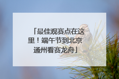 最佳观赛点在这里！端午节到北京通州看赛龙舟