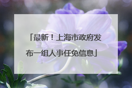 最新！上海市政府发布一组人事任免信息