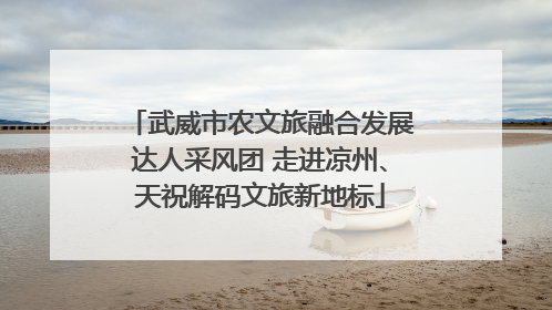 武威市农文旅融合发展达人采风团 走进凉州、天祝解码文旅新地标