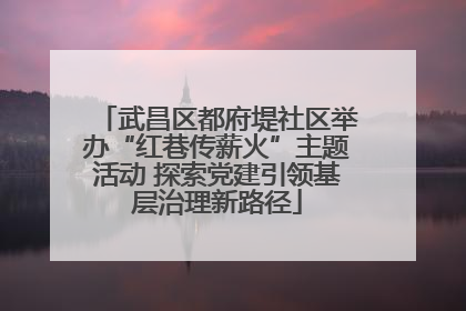 武昌区都府堤社区举办“红巷传薪火”主题活动 探索党建引领基层治理新路径