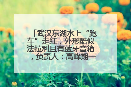 武汉东湖水上“跑车”走红，外形酷似法拉利且有蓝牙音箱，负责人：高峰期一两百人排队