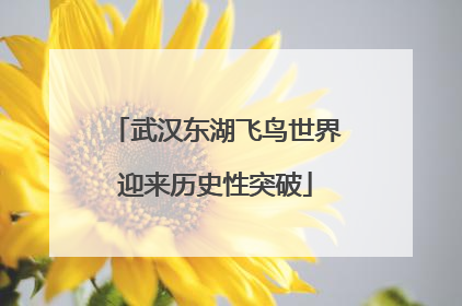 武汉东湖飞鸟世界迎来历史性突破