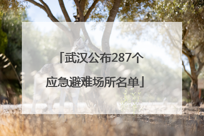 武汉公布287个应急避难场所名单