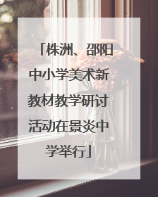 株洲、邵阳中小学美术新教材教学研讨活动在景炎中学举行