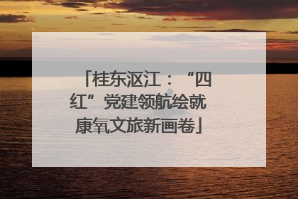 桂东沤江：“四红”党建领航绘就康氧文旅新画卷