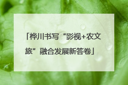桦川书写“影视+农文旅”融合发展新答卷