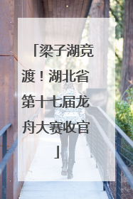 梁子湖竞渡！湖北省第十七届龙舟大赛收官