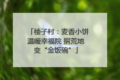 楼子村：麦香小饼温暖幸福院 撂荒地变“金饭碗”