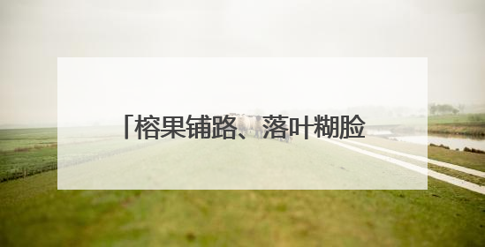 榕果铺路、落叶糊脸！泉州一路面变“溜冰场”，部门回应→