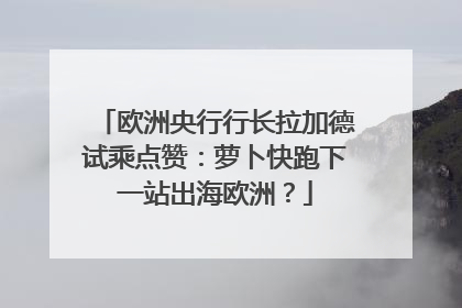 欧洲央行行长拉加德试乘点赞：萝卜快跑下一站出海欧洲？