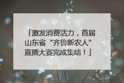 激发消费活力，首届山东省“齐鲁新农人”直播大赛完成集结！