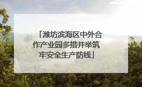 潍坊滨海区中外合作产业园多措并举筑牢安全生产防线
