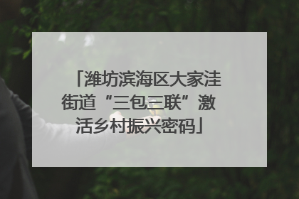 潍坊滨海区大家洼街道“三包三联”激活乡村振兴密码