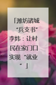 潍坊诸城“兵支书”李炜：让村民在家门口实现“就业”