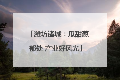 潍坊诸城：瓜甜葱郁处 产业好风光