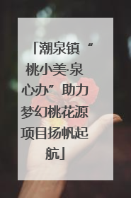 潮泉镇“桃小美·泉心办”助力梦幻桃花源项目扬帆起航
