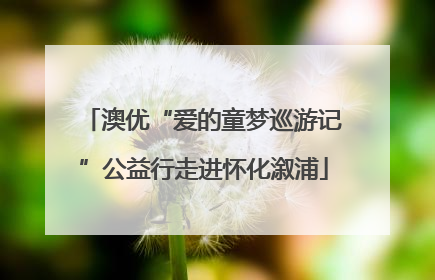 澳优“爱的童梦巡游记”公益行走进怀化溆浦