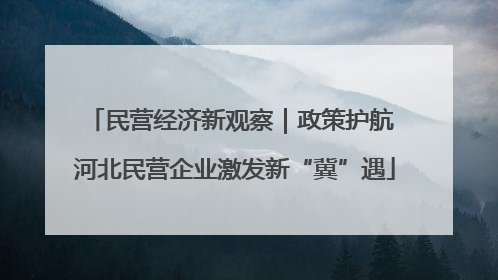 民营经济新观察｜政策护航 河北民营企业激发新“冀”遇