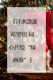 汗水浇灌希望田 同心共绘“绿画卷”