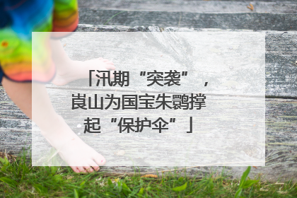 汛期“突袭”，崀山为国宝朱鹮撑起“保护伞”