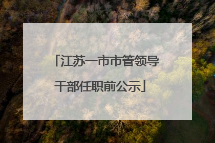 江苏一市市管领导干部任职前公示