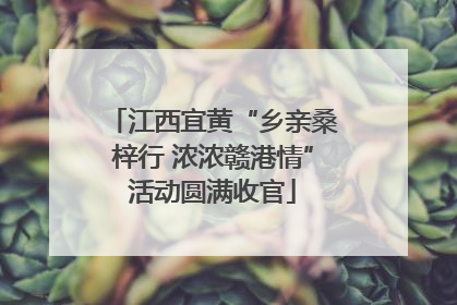 江西宜黄“乡亲桑梓行 浓浓赣港情”活动圆满收官