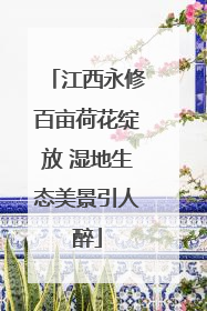 江西永修百亩荷花绽放 湿地生态美景引人醉
