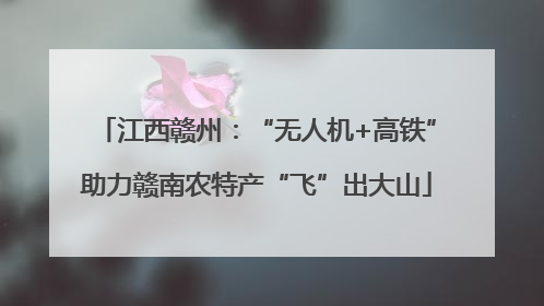 江西赣州：“无人机+高铁”助力赣南农特产“飞”出大山