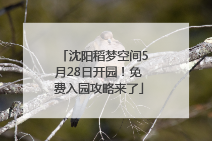 沈阳稻梦空间5月28日开园！免费入园攻略来了