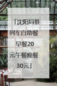 沈阳局推列车自助餐 早餐20元午餐晚餐30元