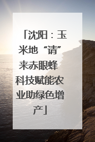 沈阳：玉米地“请”来赤眼蜂 科技赋能农业助绿色增产