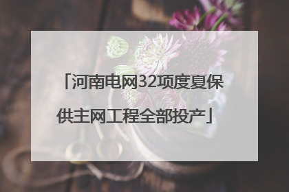 河南电网32项度夏保供主网工程全部投产