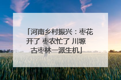 河南乡村振兴：枣花开了 枣农忙了 川塬古枣林一派生机