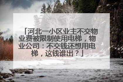 河北一小区业主不交物业费被限制使用电梯，物业公司：不交钱还想用电梯，这钱谁出？