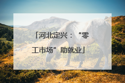 河北定兴：“零工市场”助就业