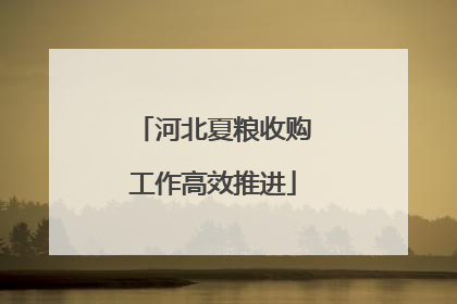 河北夏粮收购工作高效推进
