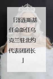 泽连斯基任命新任乌克兰驻北约代表团团长
